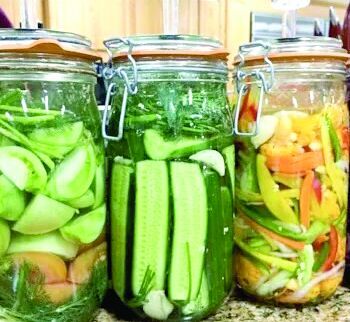 Fermenting and Brining Summer Vegetables